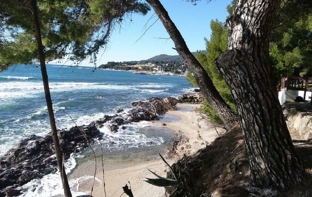**** Beau T2 De 40 M2, Jardin De 70M2, Au Calme, A 50 Metres De La Plage 乐普拉代 外观 照片