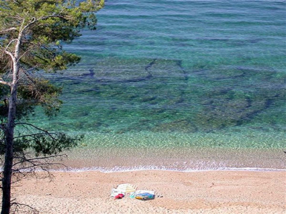 **** Beau T2 De 40 M2, Jardin De 70M2, Au Calme, A 50 Metres De La Plage 乐普拉代 外观 照片
