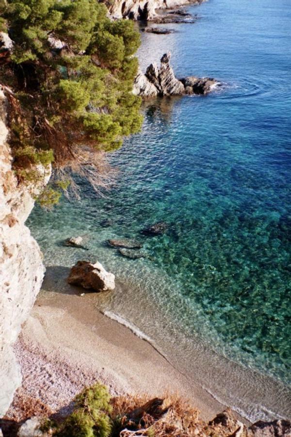 **** Beau T2 De 40 M2, Jardin De 70M2, Au Calme, A 50 Metres De La Plage 乐普拉代 外观 照片